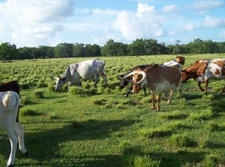 9605 Fm 524 Rd, Sweeny, TX 77480