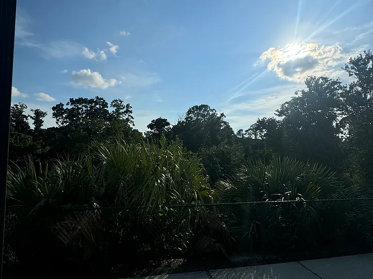 2368 Silver Palm Dr — Photo 11