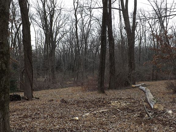 Township Owned Woods