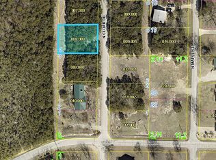 107 N Cedar Dr, Blue Eye, MO 65611