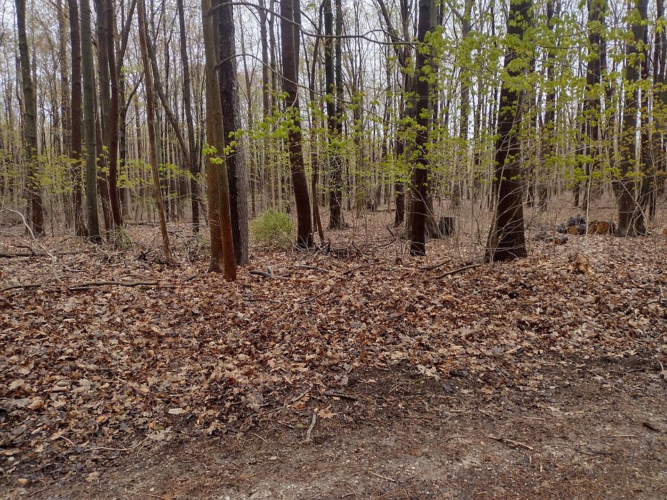 1st image of 2 N Darling Ln