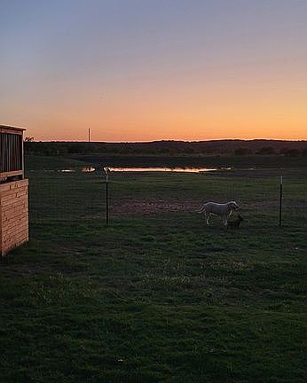 Sunset view from back patio.