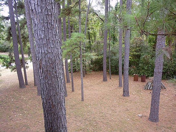 Lots from upstairs deck