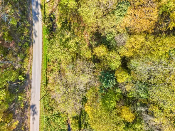 Brown Bear Hollow Rd, Northfork, WV 24868