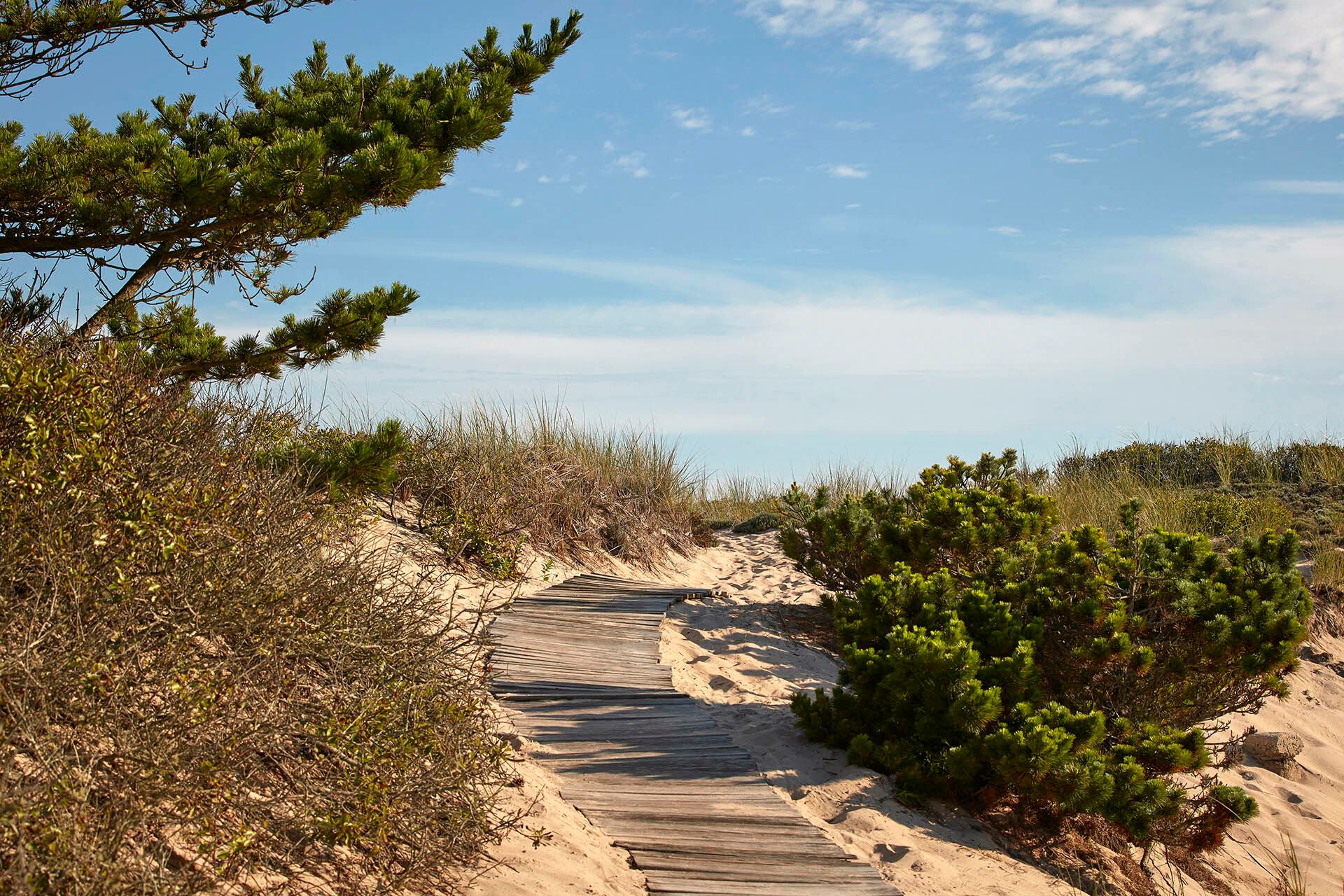 37 Ship Wreck Dr, Amagansett, NY 11930 Out East