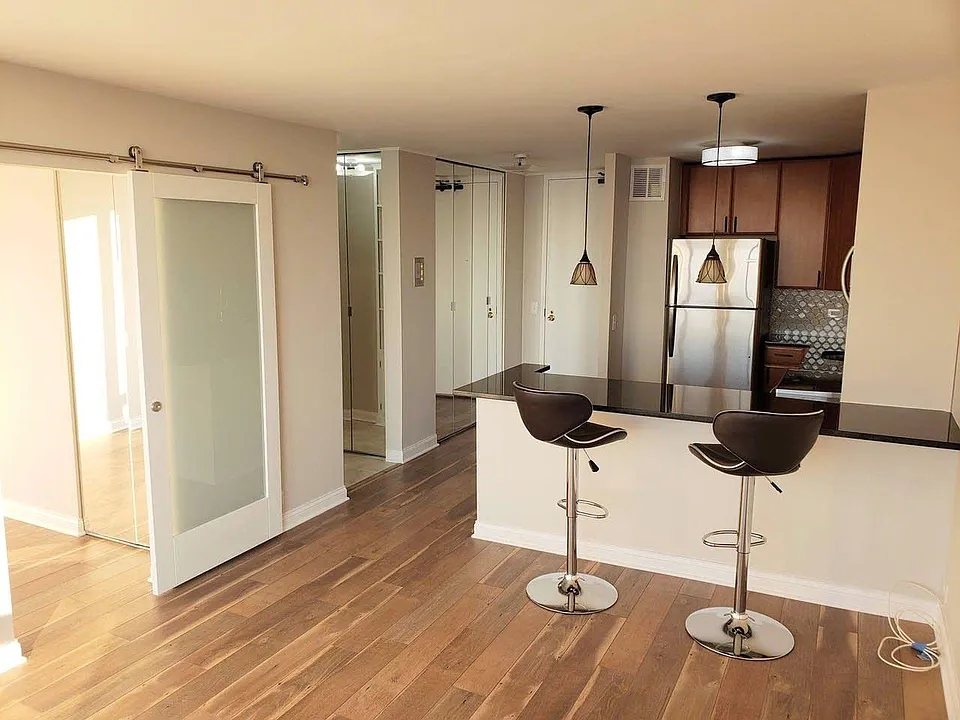5445 N Sheridan Rd #3409