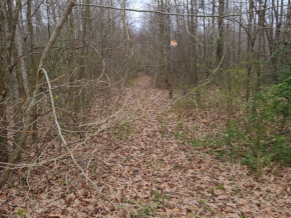 2nd image of 0 Long St