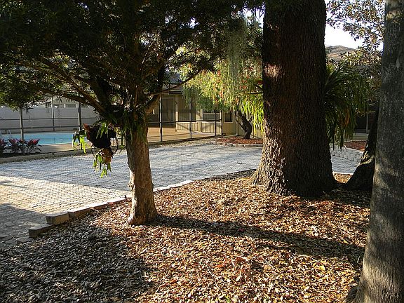 Another view of back area