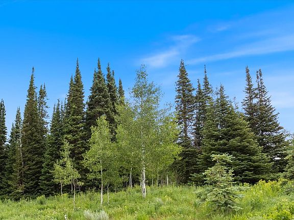 3rd image of 4372 S Buck Way