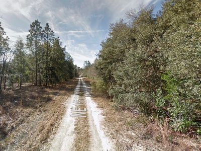 LOT 4 NE 156th Ct, Williston, FL, 32696