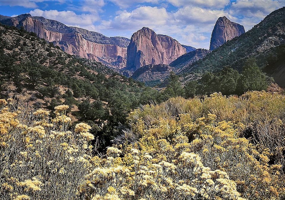 Kolob Canyon: 3 miles