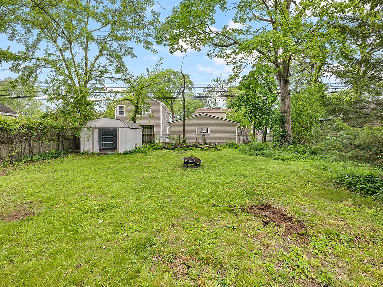 Back Yard looking away from house