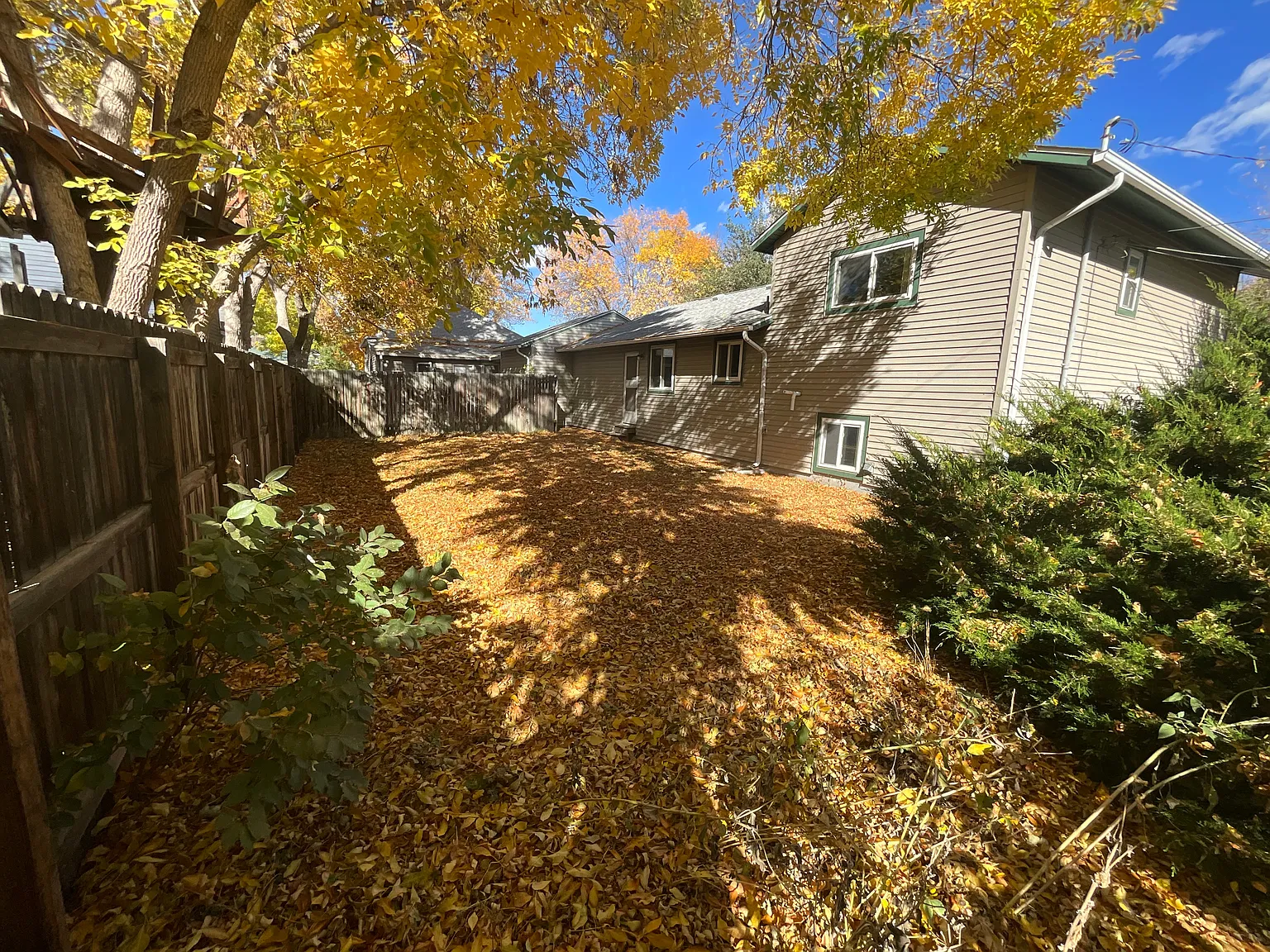3 bed, 1400 sqft, $2,500 — Photo 4