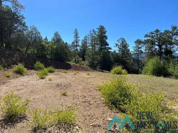 Vega View Rd, Chama, NM 87520