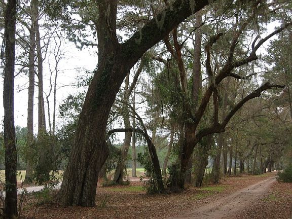 2nd image of 36 Bent Tree Ln