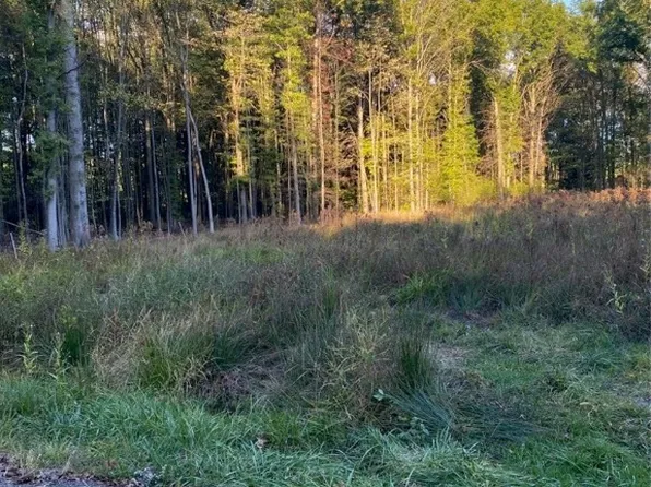 Maplewood Ave, Lake Milton, OH 44429