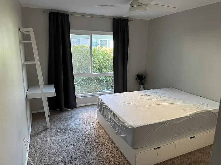 Palm Ave — Photo 20