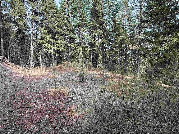 3rd image of Nna Buck Creek Rd
