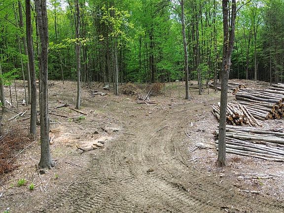 4th image of Lot 26-2 Plain Road