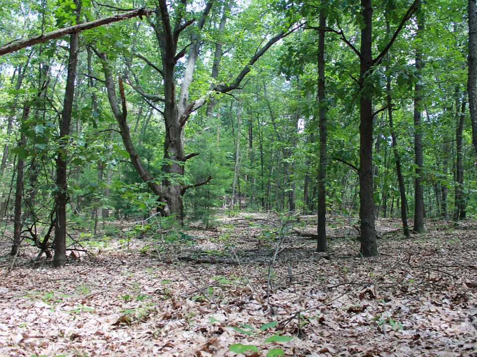 1st image of Linda Ln