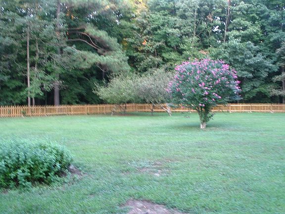 Fenced Yard - A Full Acre  of Safety for Kids 