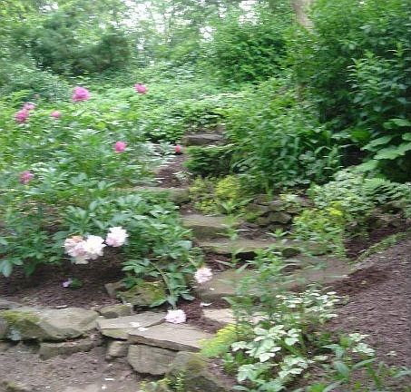 Landscaped Rock Steps