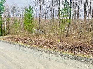 315 Gaf Lake Rd, Windsor, NY 13865