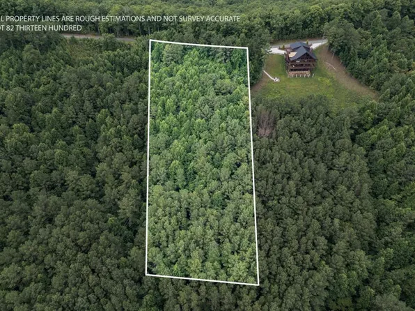 LOT 82 1300th, Blairsville, GA 30512