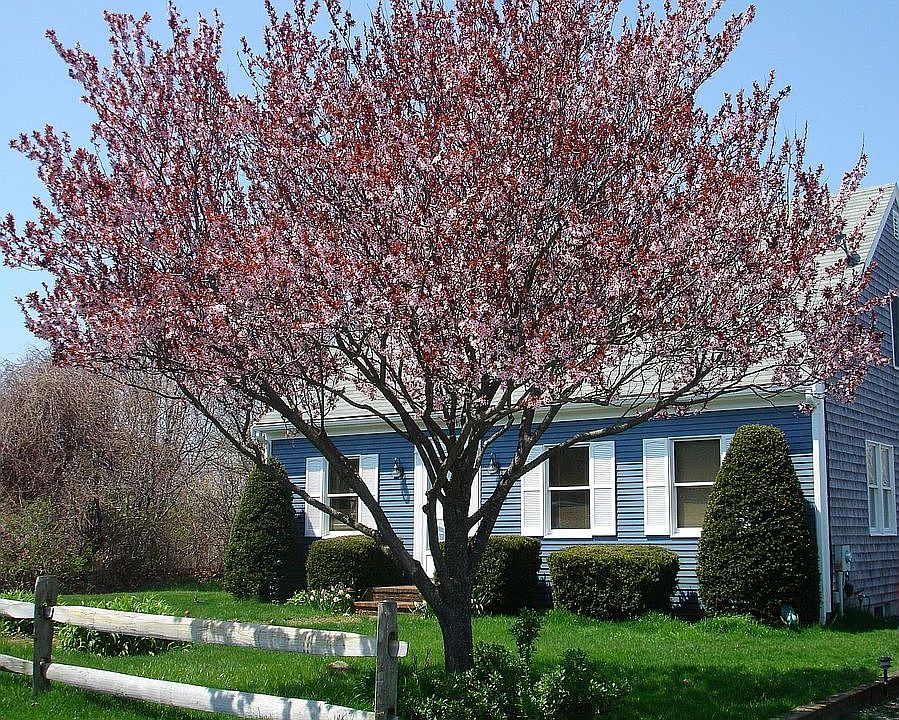 Exterior of 5 Old Colony