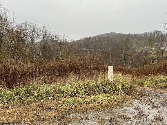 4th image of LOT 1249 12th