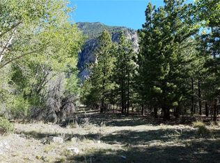 County Road 162, Nathrop, CO 81236