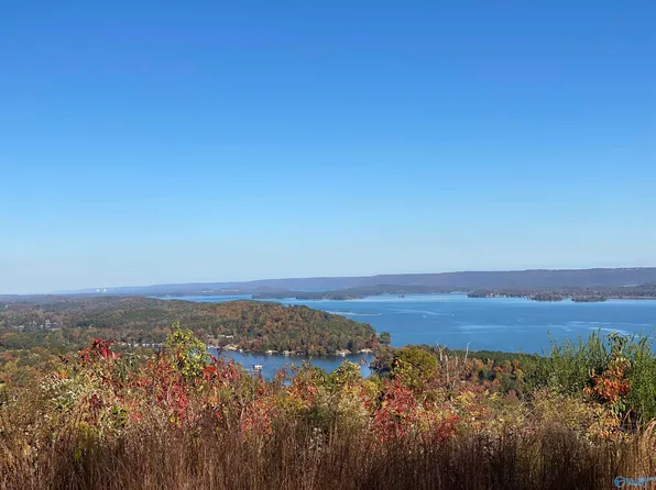 32 Keene Point Dr, Grant, AL 35747