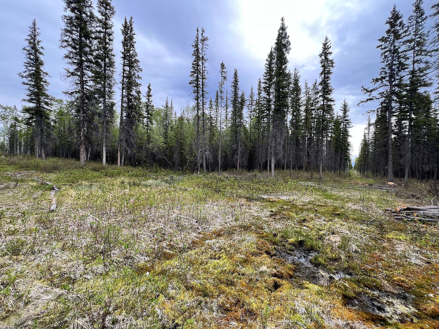 Asls 79 #251-LOT 48, Glennallen, AK 99588 | MLS #50001-000006 | Zillow