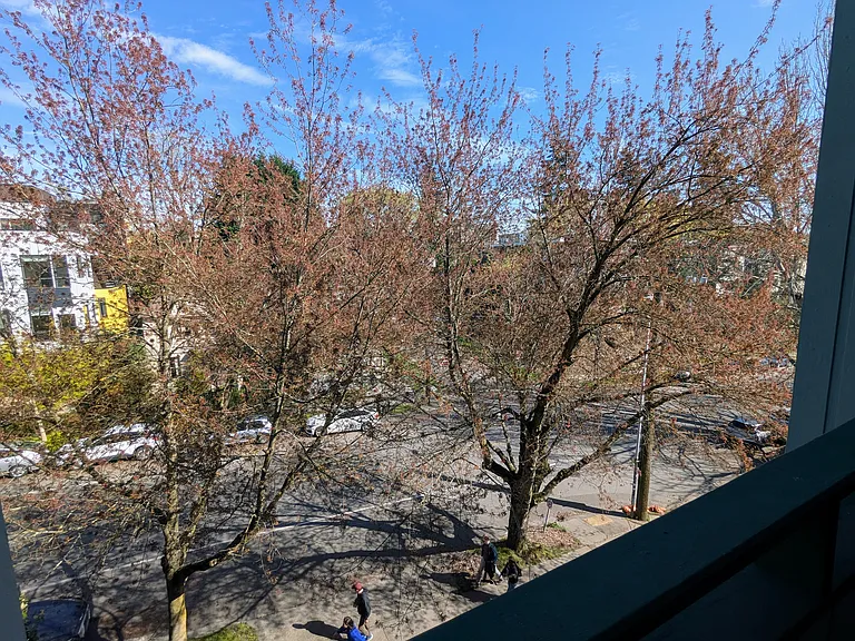 Tranquil apartment in the heart of Fremont