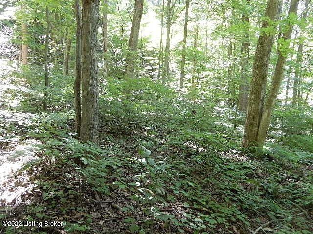 1st image of 15&15A Winding Hollow Ln