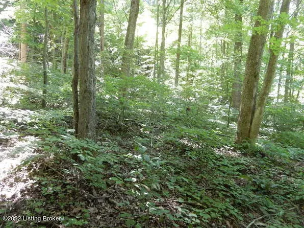 15&15A Winding Hollow Ln, Lebanon Junction, KY 40150