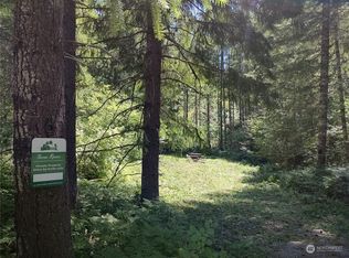 6 Lahar Ln, Cougar, WA 98616