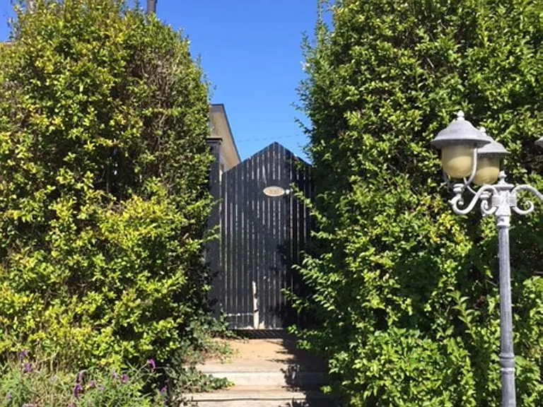 1130A Bodega Ave — Photo 3