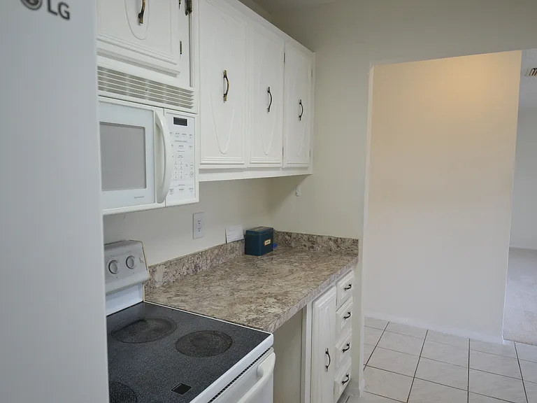 329 Moorings Cove Dr — Photo 31