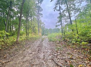 8000 Stephenson Rd, Onsted, MI 49265