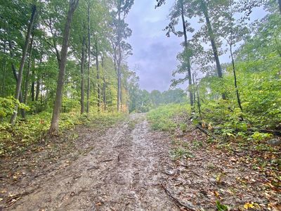 8000 Stephenson Rd, Onsted, MI, 49265