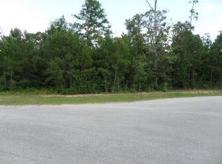 26208 Laurens Ct, Montgomery, TX 77316