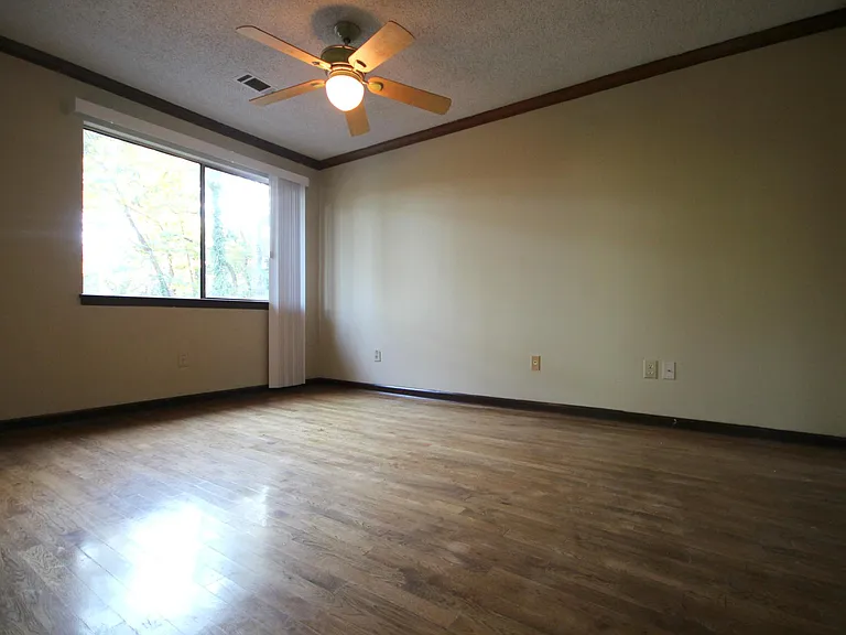 803 Bayliss Dr — Photo 19