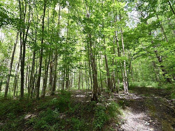 4th image of 8060 County Road 49 #C