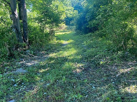 Lot 3 road to open area