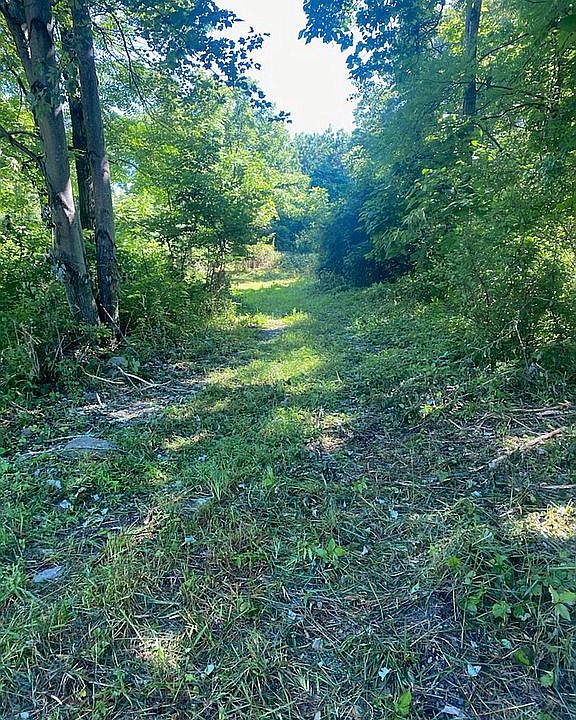 Lot 3 road to open area