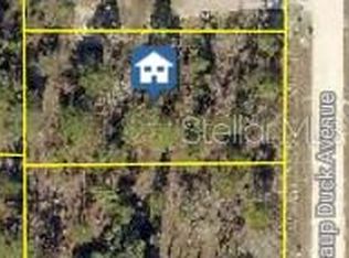 16051 Scaup Duck Ave Lot 14, Brooksville, FL 34614