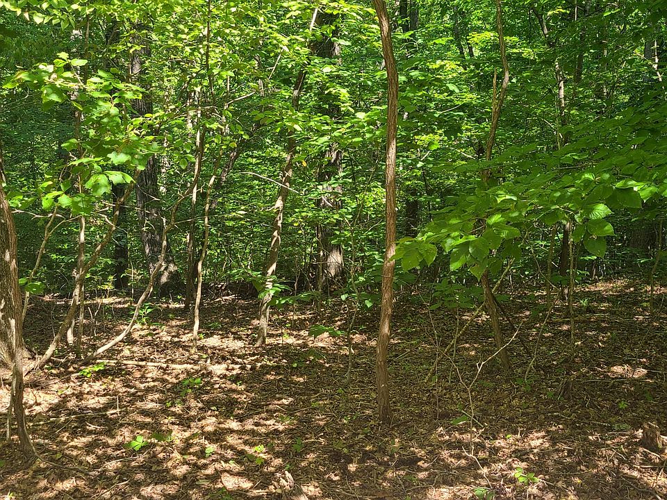 2nd image of LOT 43 Long Pine Ct