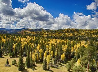 166 Mountain View Ranch Rd, Pinetop Lakeside, AZ 85929