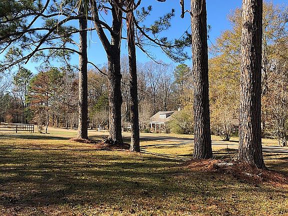 4th image of 107 Langford Farms Dr
